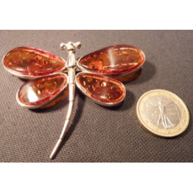 broche libellule en ambre