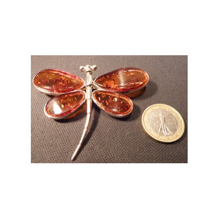 broche libellule en ambre