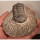 Trilobite fossilisé du desert marocain