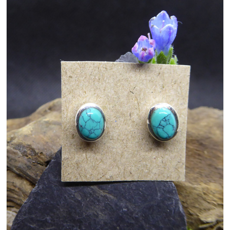 Puces d'oreilles turquoise