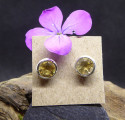 Boucles d'Oreille Clou en Citrine et Argent