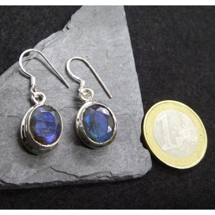 Faceted Labradorite Earings