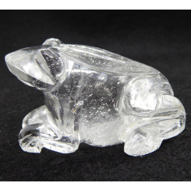 Rock Crystal Frog