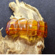 Cognac Amber Bracelet